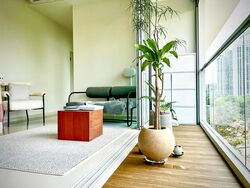 Zenith (D10), Apartment #504536641